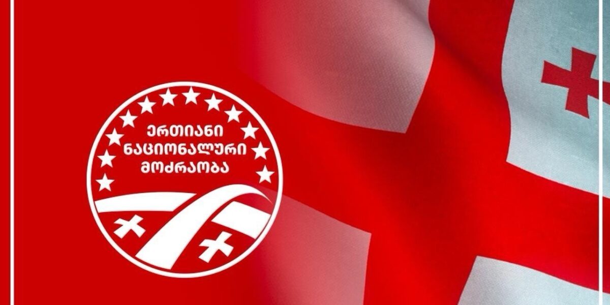 «Нацдвижение» подало иск в Конституционный суд против «Грузинской мечты»