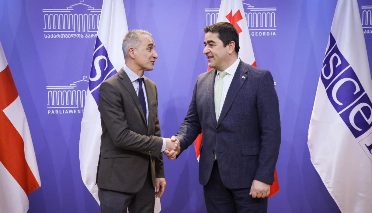 Спикер парламента Грузии и глава ПА ОБСЕ прокомментировали свою первую встречу
