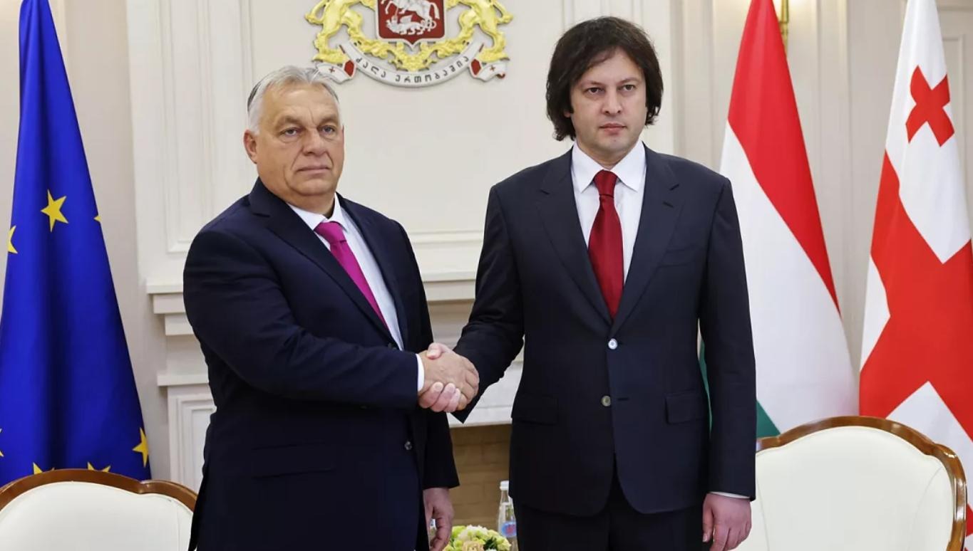 Оппозиция в Грузии вдохновилась поражением друзей «Мечты» в Венгрии