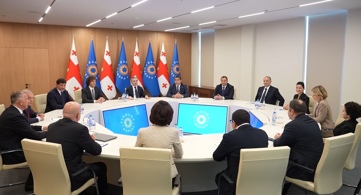 Georgian NGOs Warn of One-Party Dictatorship Following 