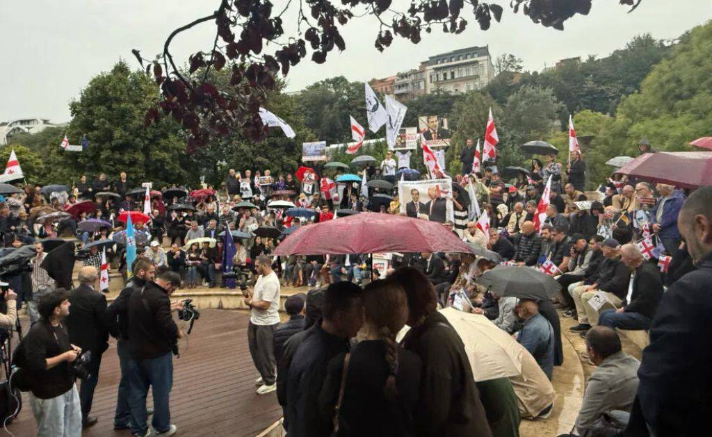 Tbilisi Rally Held for Saakashvili’s Release Despite Interior Ministry Ban