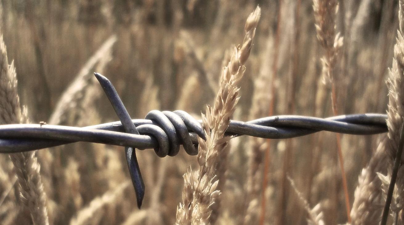 Georgia calls on the international community to respond to Russia's actions in Abkhazia and South Ossetia