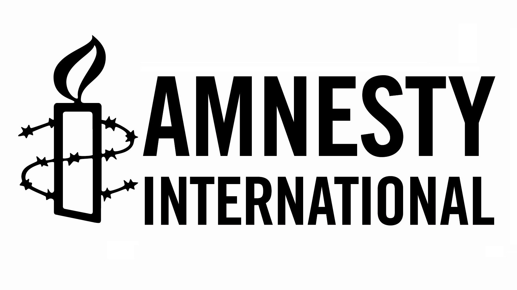 Amnesty International refers to human rights violations in Georgia