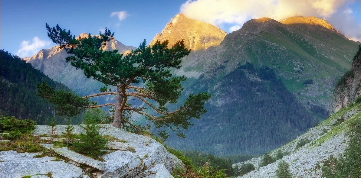 The happiest were the inhabitants of the North Caucasus